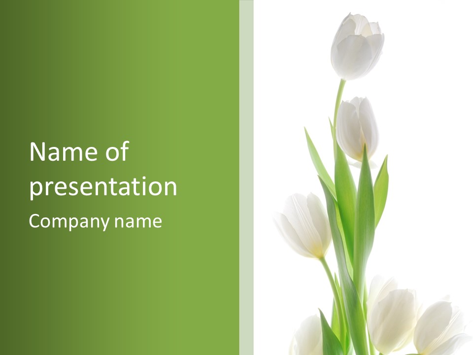 Green Bud Perspective PowerPoint Template