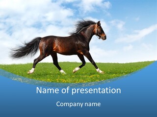 Equestrian Brown Steppe PowerPoint Template