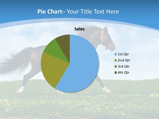 Equestrian Brown Steppe PowerPoint Template