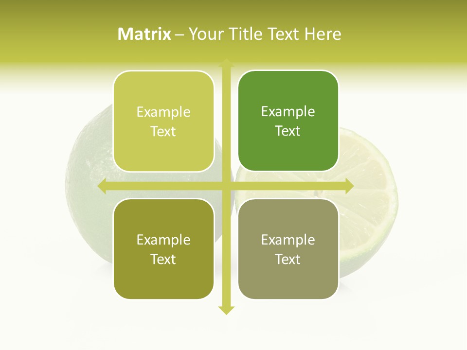 Squash Line Italy PowerPoint Template