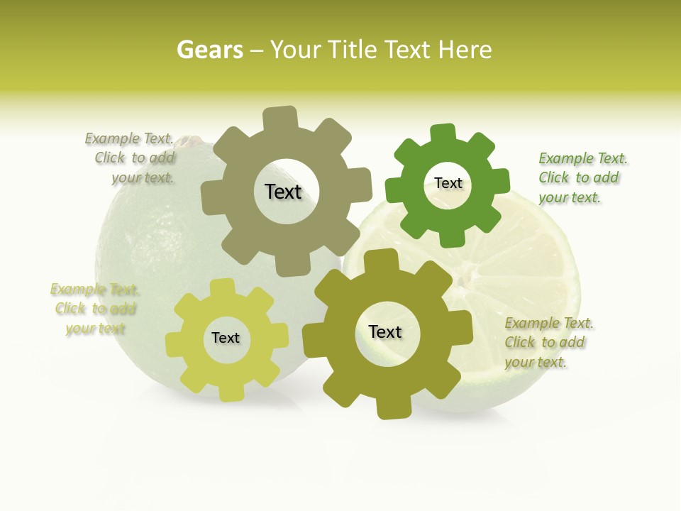 Squash Line Italy PowerPoint Template
