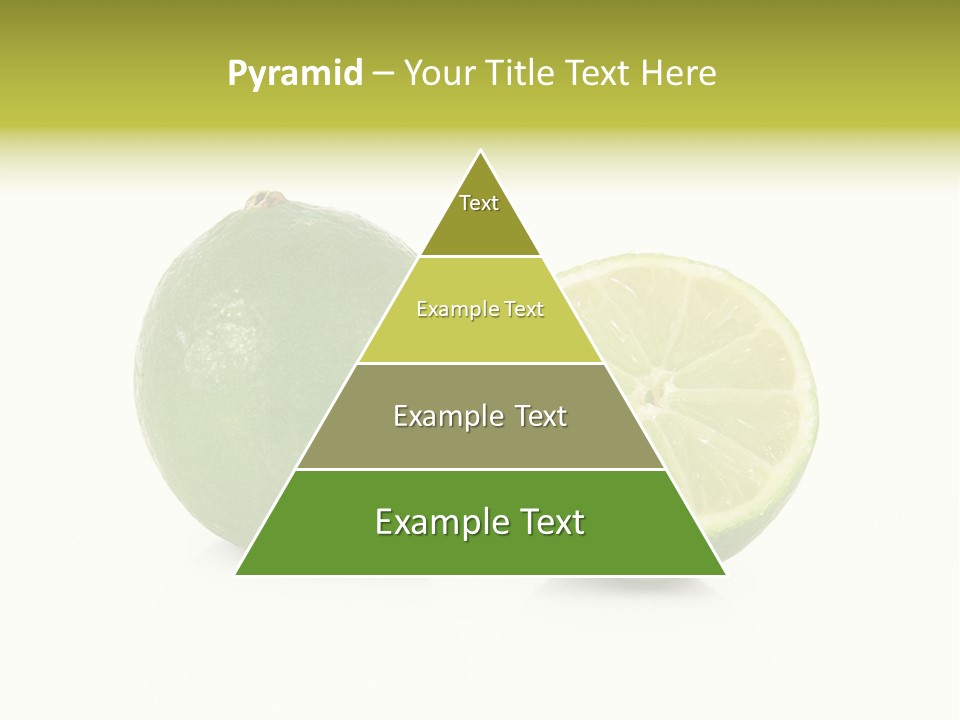 Squash Line Italy PowerPoint Template