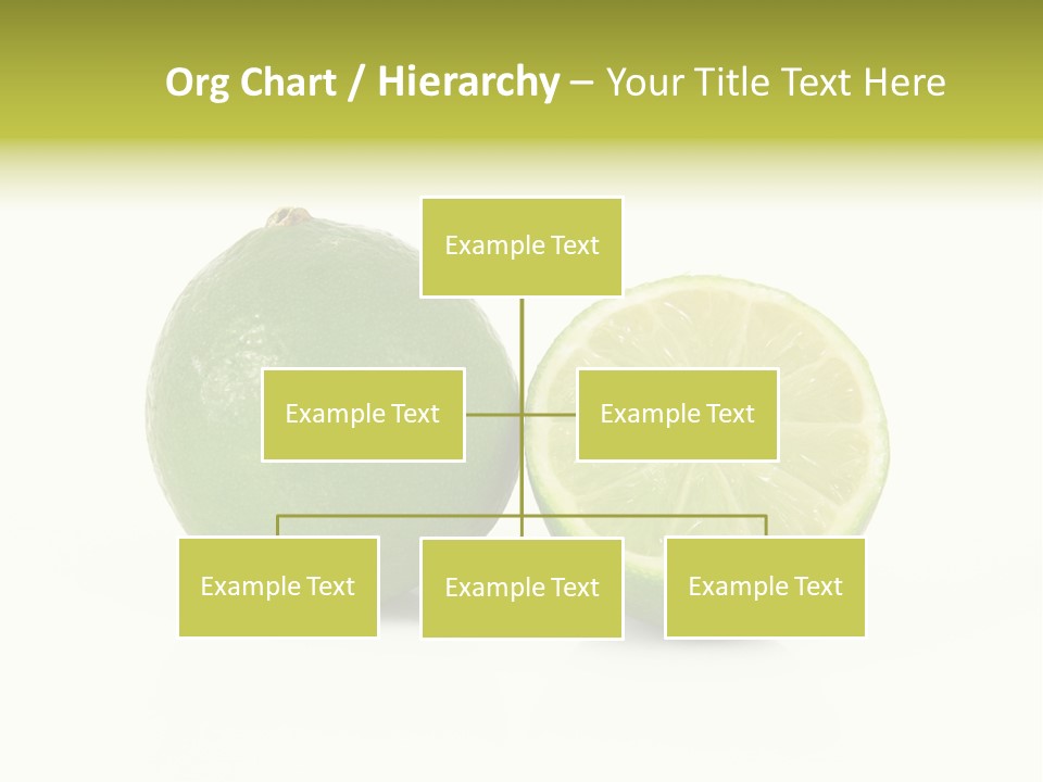 Squash Line Italy PowerPoint Template