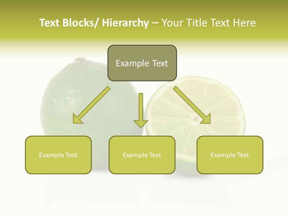 Squash Line Italy PowerPoint Template