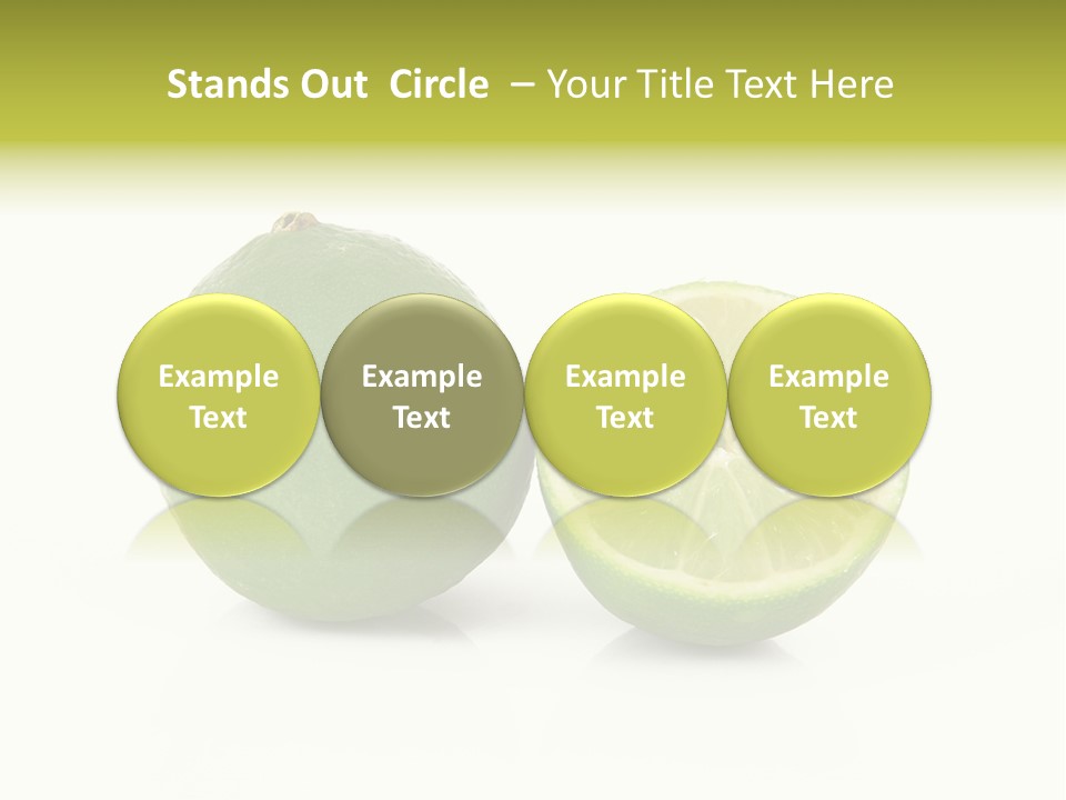 Squash Line Italy PowerPoint Template