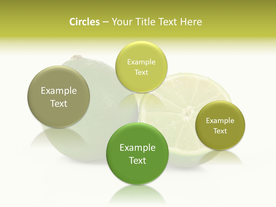 Squash Line Italy PowerPoint Template