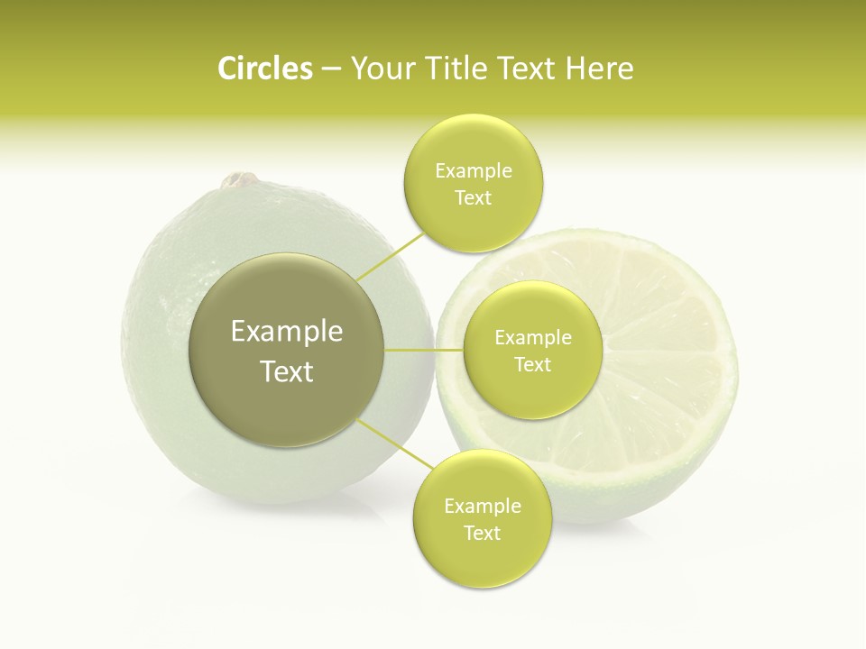 Squash Line Italy PowerPoint Template