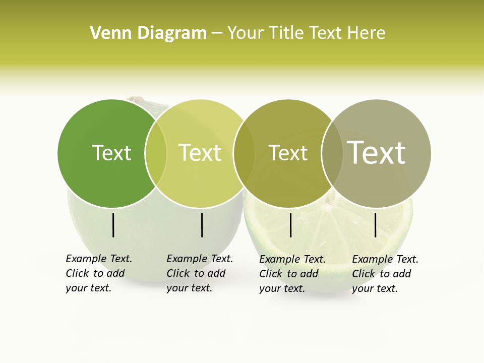 Squash Line Italy PowerPoint Template