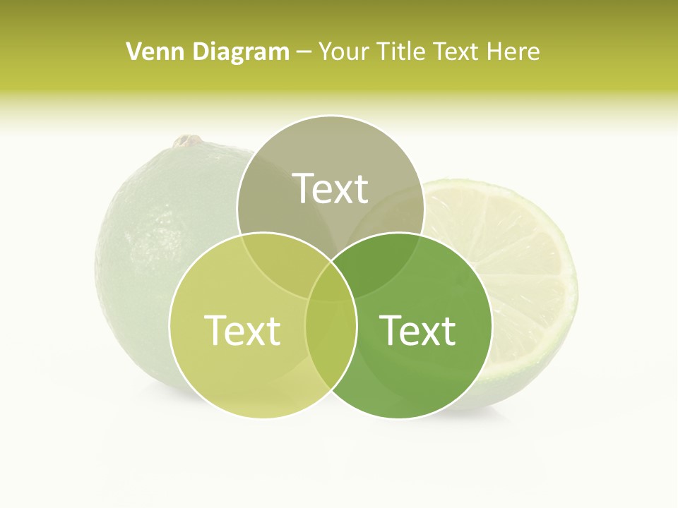Squash Line Italy PowerPoint Template