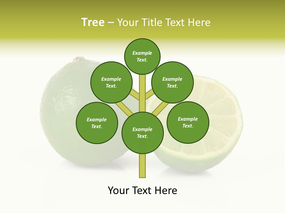 Squash Line Italy PowerPoint Template