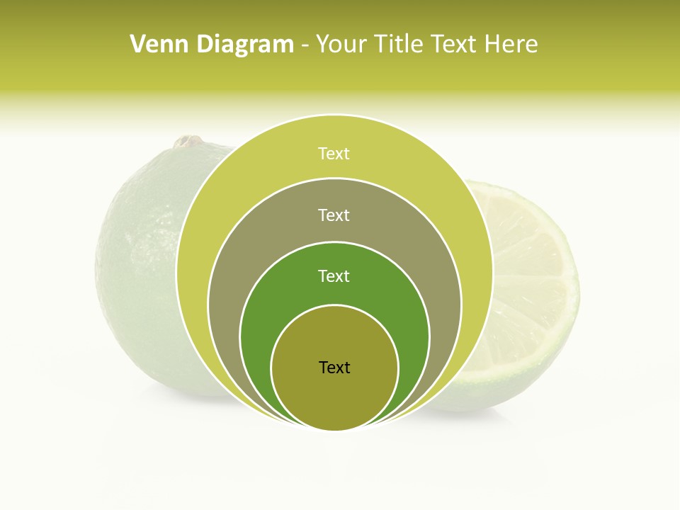 Squash Line Italy PowerPoint Template