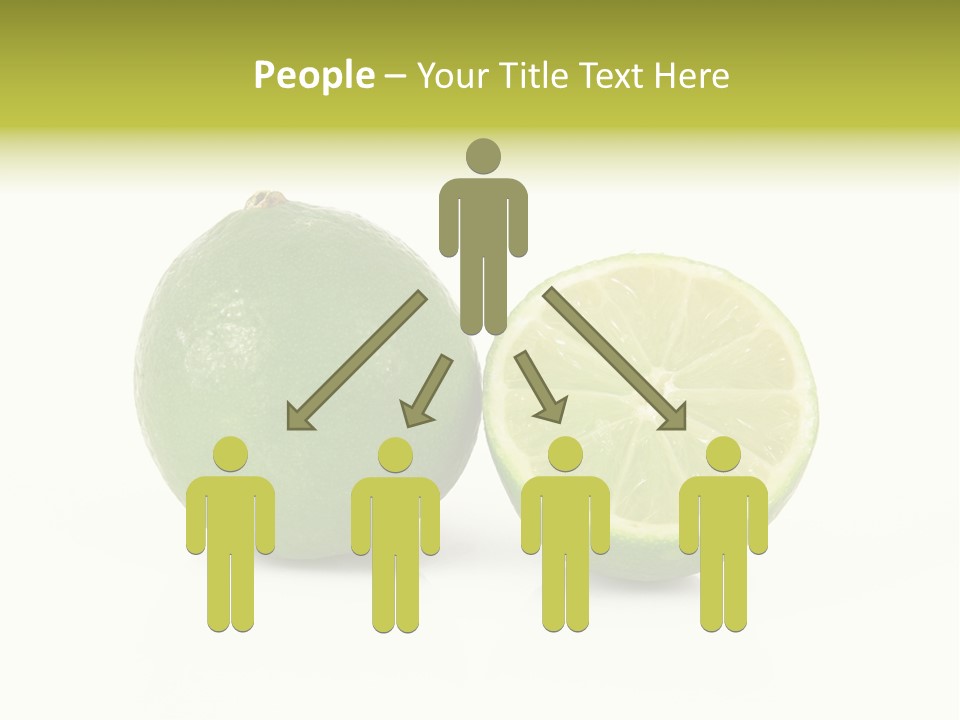 Squash Line Italy PowerPoint Template