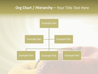 Close Up Health Care Background PowerPoint Template