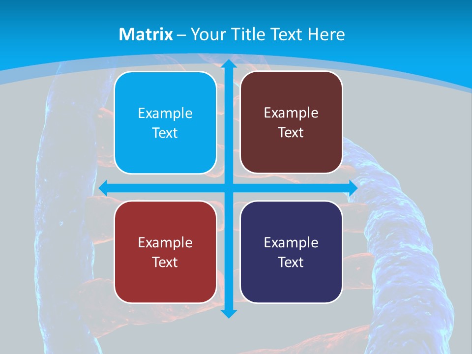 Facility Vaccine Crayfish PowerPoint Template