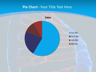 Facility Vaccine Crayfish PowerPoint Template