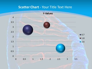 Facility Vaccine Crayfish PowerPoint Template