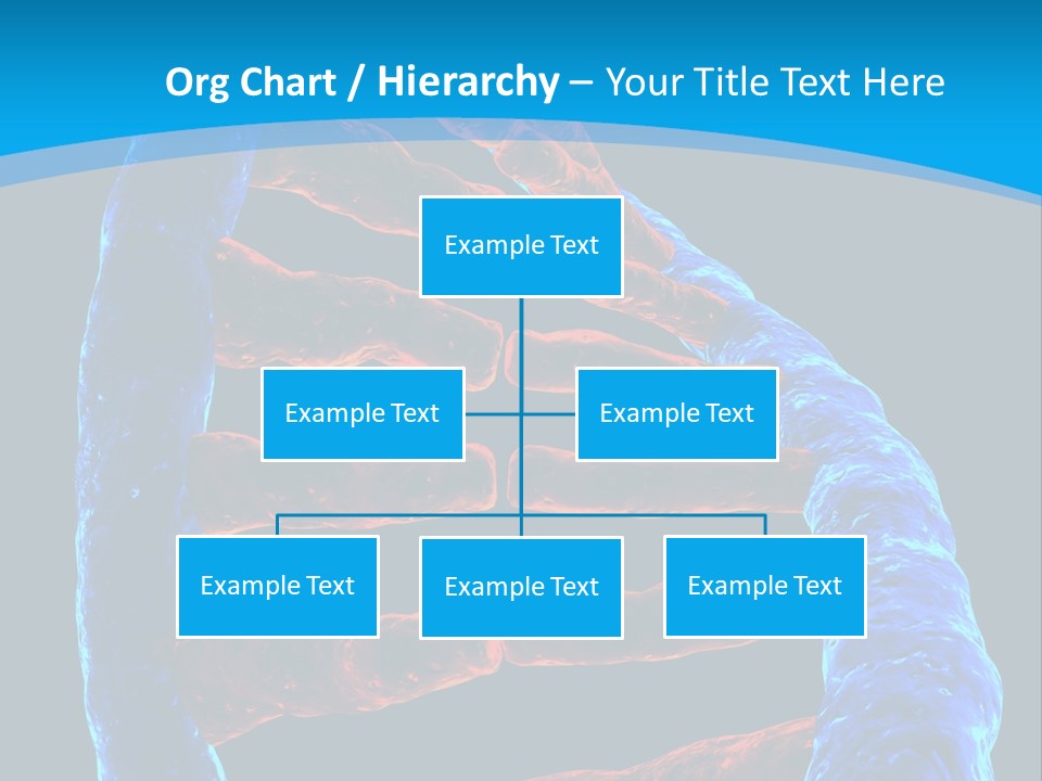 Facility Vaccine Crayfish PowerPoint Template