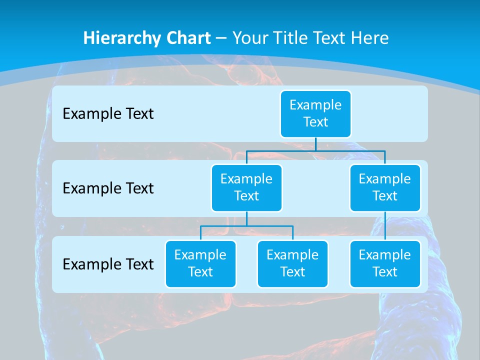 Facility Vaccine Crayfish PowerPoint Template