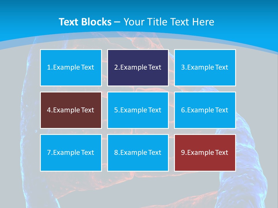 Facility Vaccine Crayfish PowerPoint Template