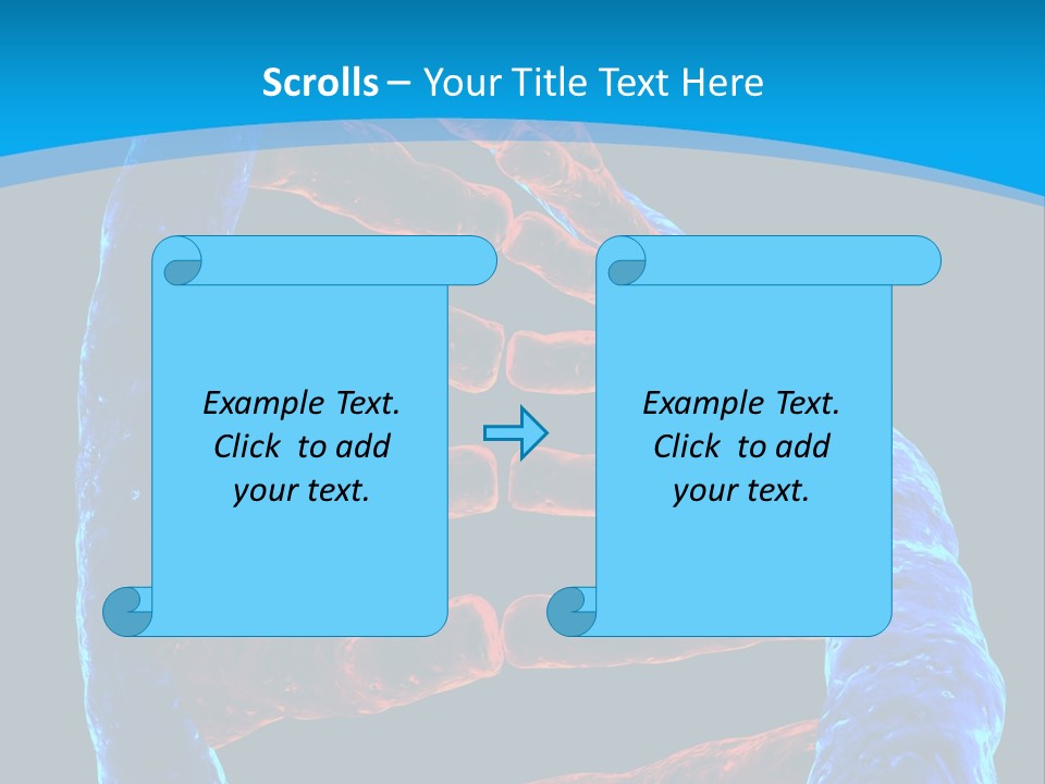 Facility Vaccine Crayfish PowerPoint Template