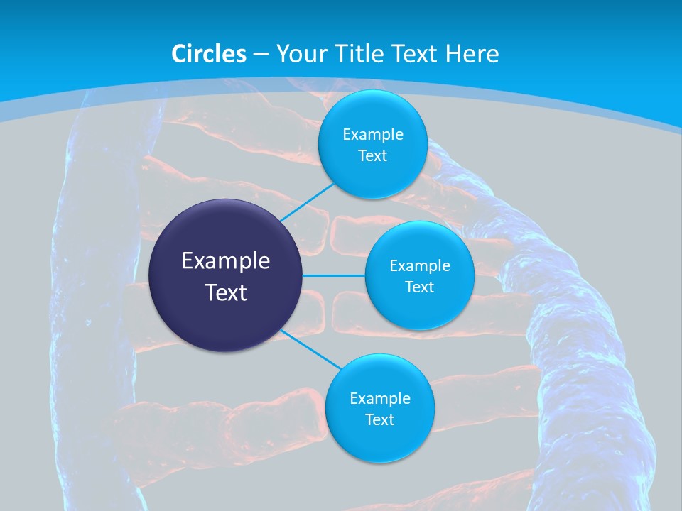 Facility Vaccine Crayfish PowerPoint Template