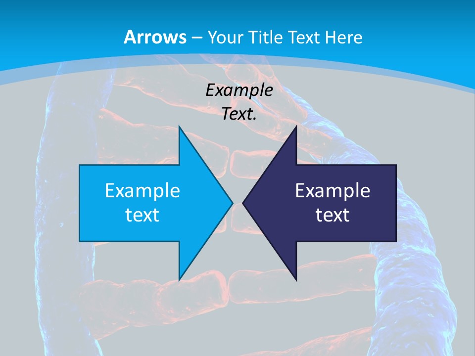 Facility Vaccine Crayfish PowerPoint Template