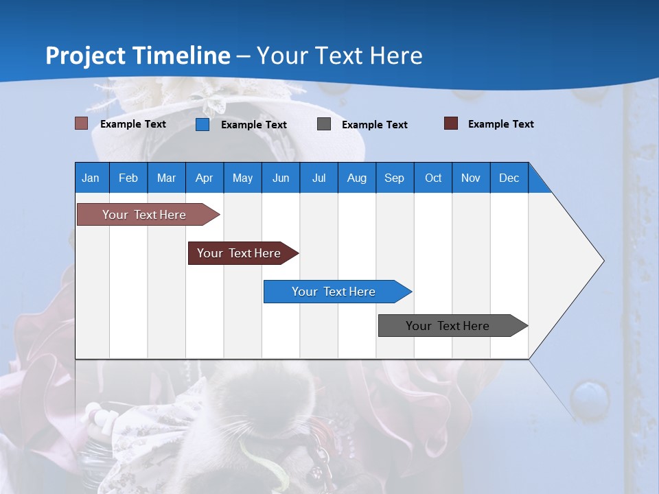 Hat Tobacco Cuban PowerPoint Template