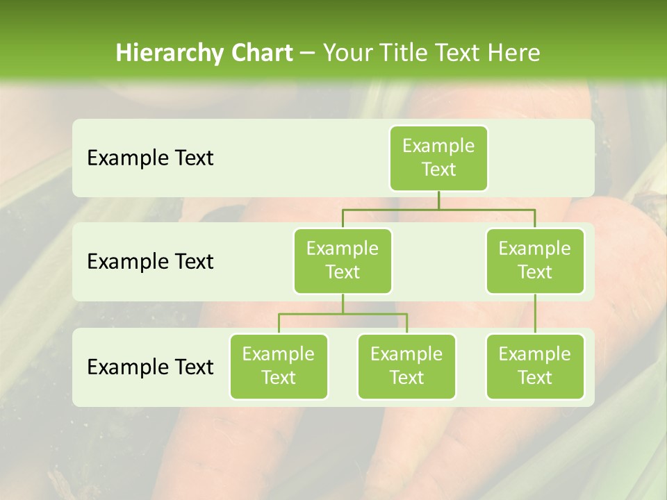Onion Appetising Cucumber PowerPoint Template