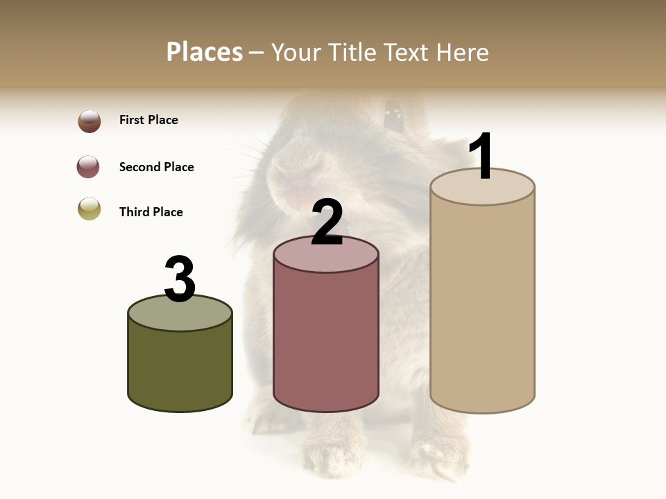 Holiday Rabbit Animal PowerPoint Template