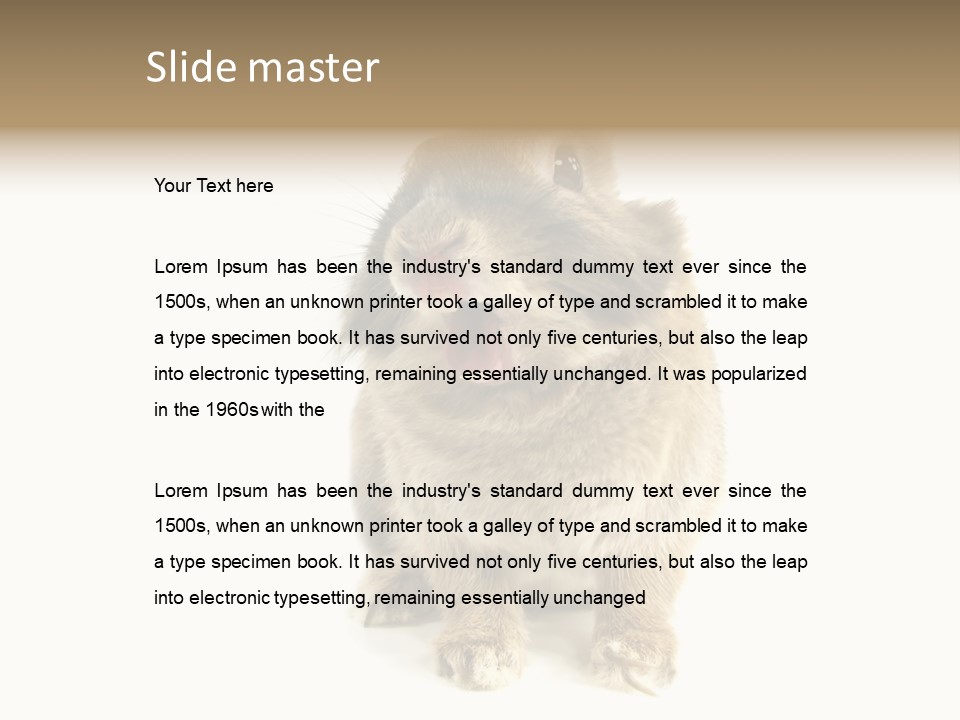 Holiday Rabbit Animal PowerPoint Template