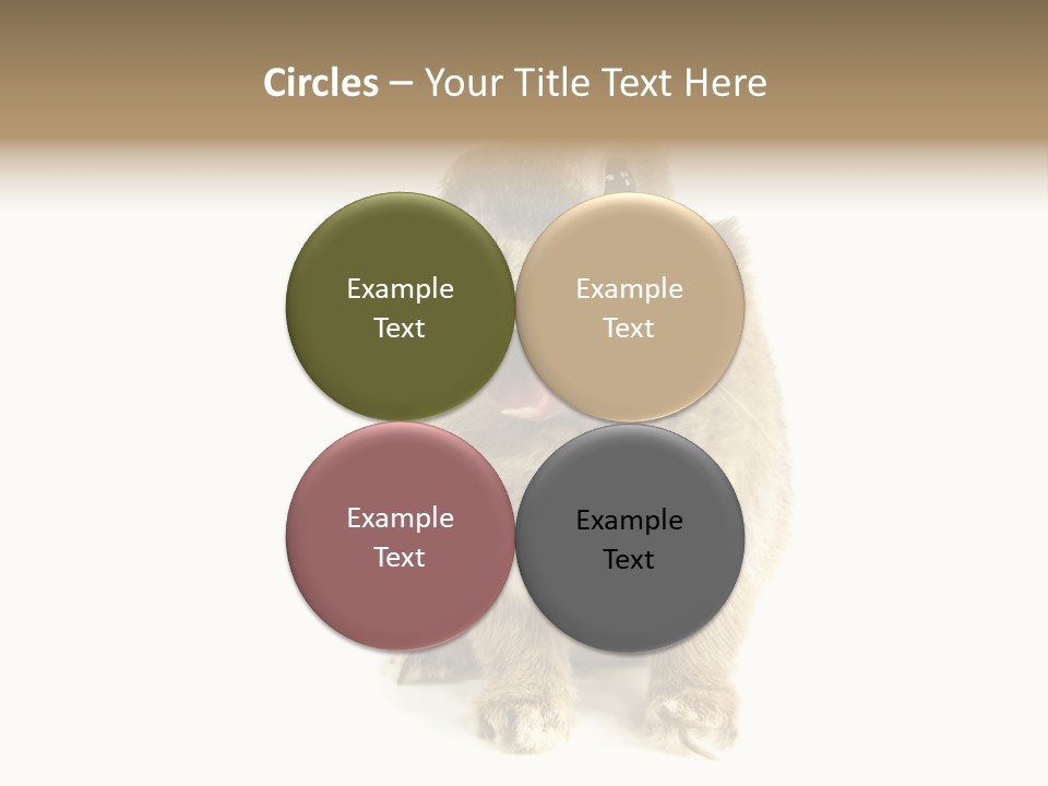 Holiday Rabbit Animal PowerPoint Template