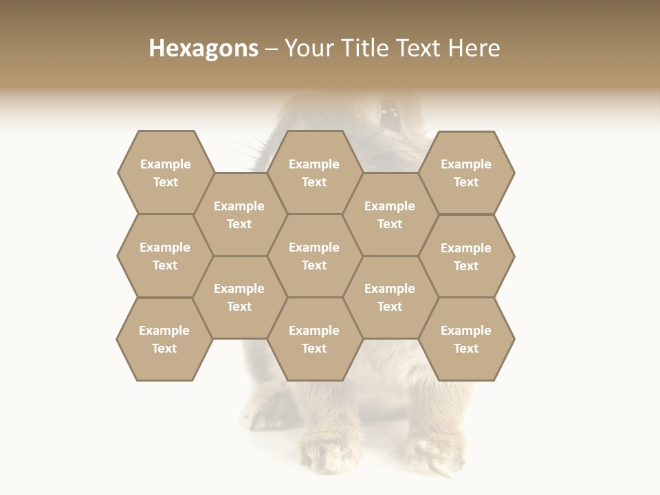 Holiday Rabbit Animal PowerPoint Template