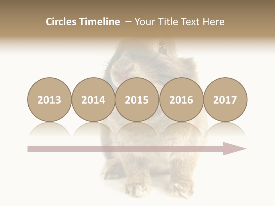 Holiday Rabbit Animal PowerPoint Template