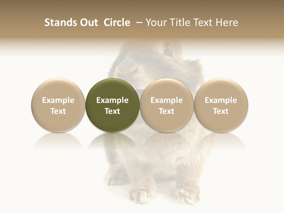 Holiday Rabbit Animal PowerPoint Template