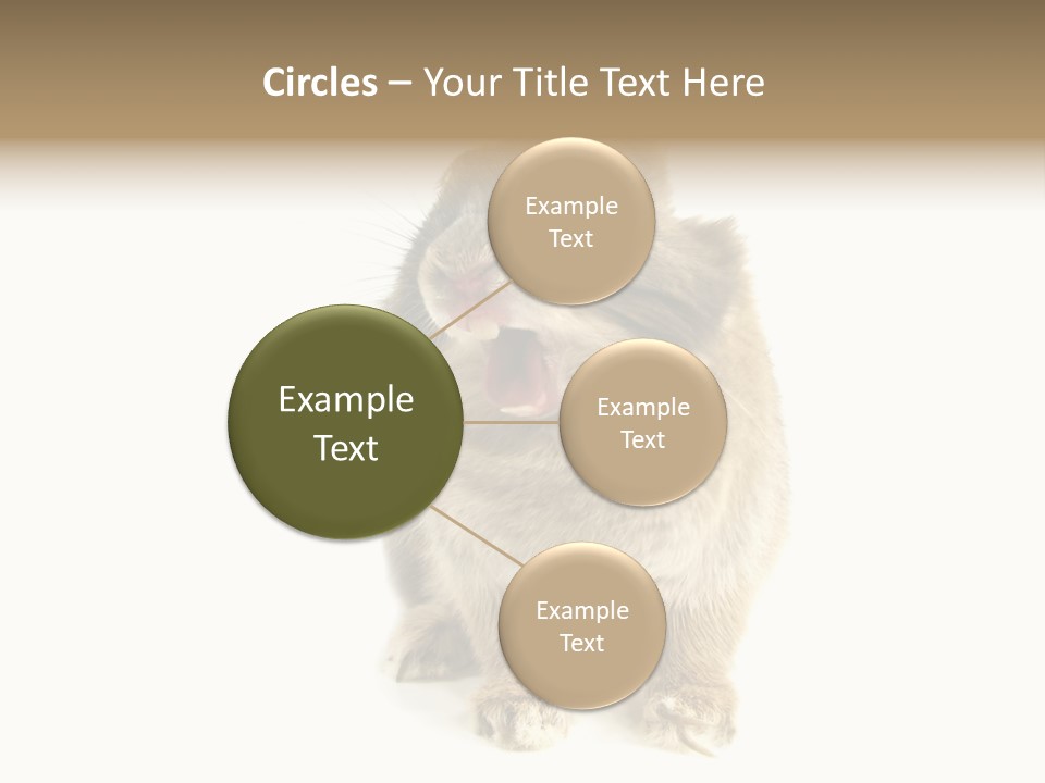 Holiday Rabbit Animal PowerPoint Template