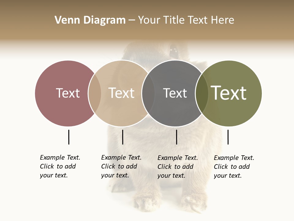 Holiday Rabbit Animal PowerPoint Template