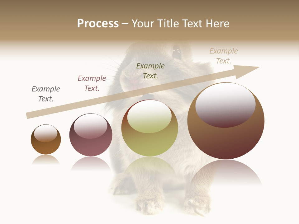 Holiday Rabbit Animal PowerPoint Template