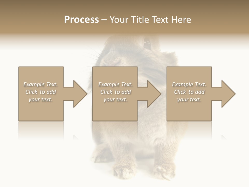 Holiday Rabbit Animal PowerPoint Template