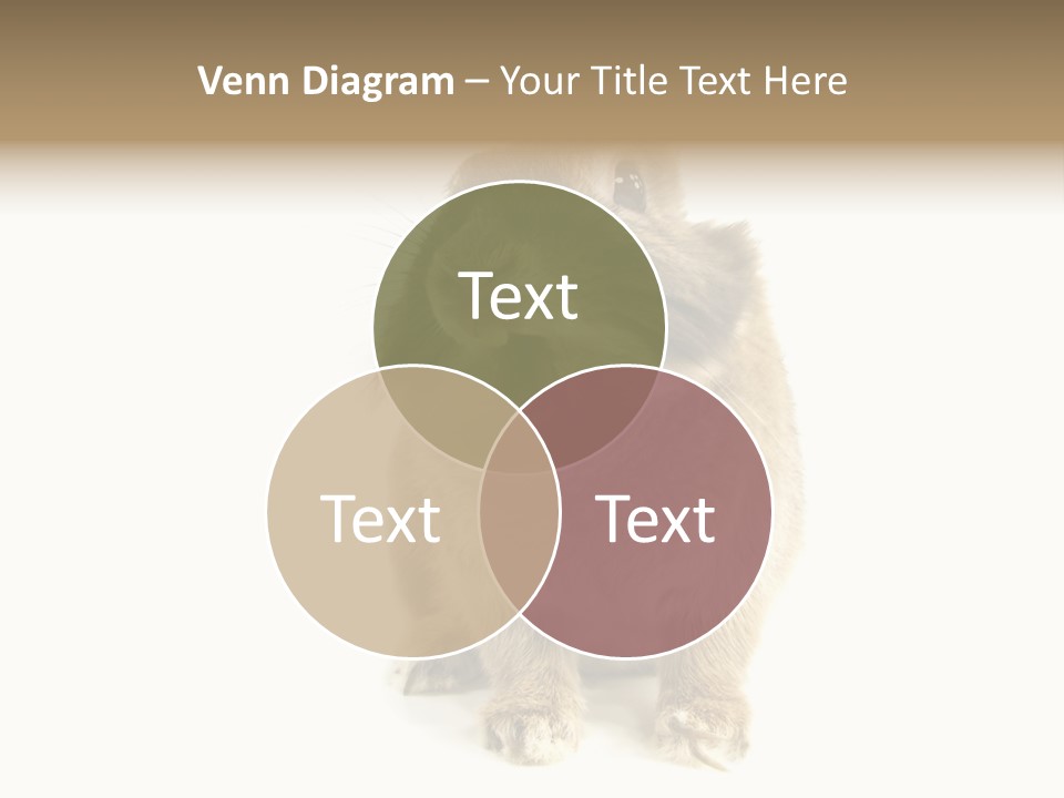 Holiday Rabbit Animal PowerPoint Template