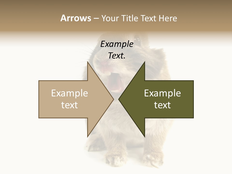 Holiday Rabbit Animal PowerPoint Template