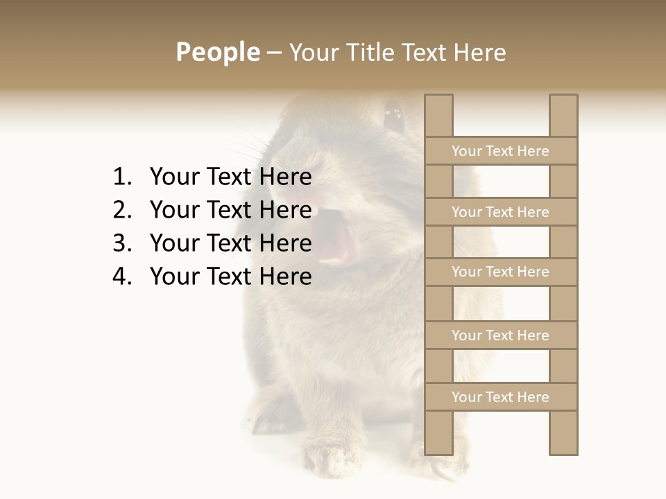 Holiday Rabbit Animal PowerPoint Template