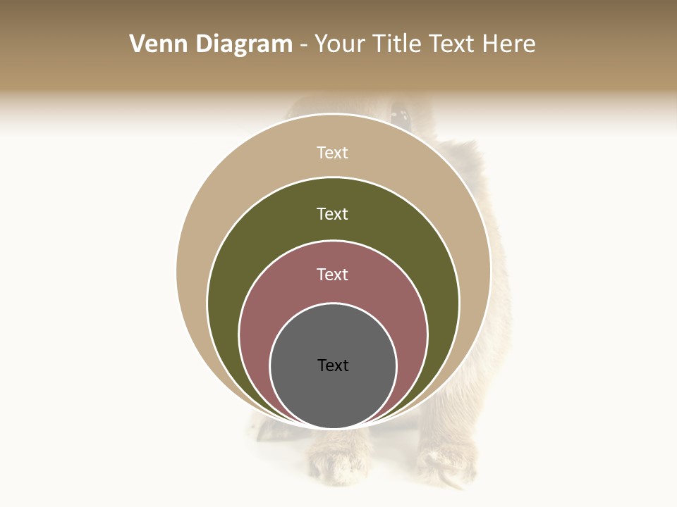 Holiday Rabbit Animal PowerPoint Template