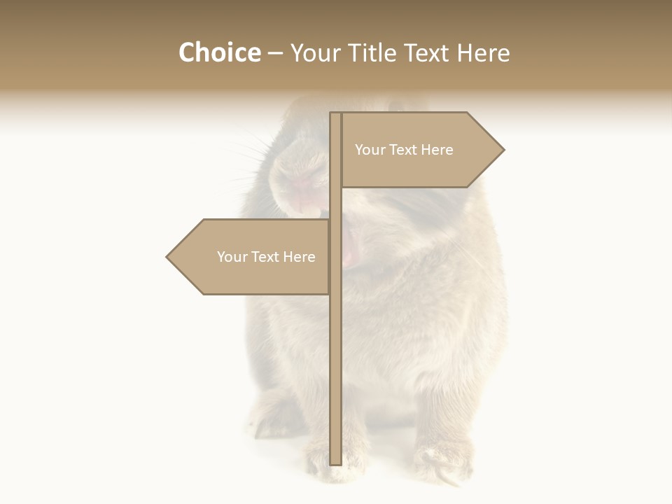 Holiday Rabbit Animal PowerPoint Template