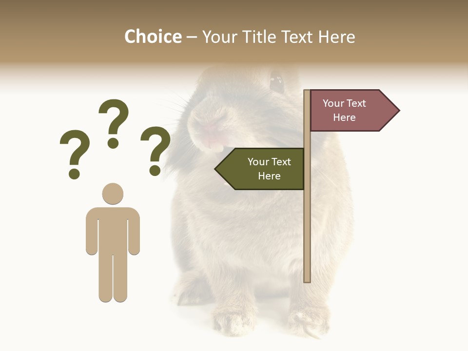 Holiday Rabbit Animal PowerPoint Template