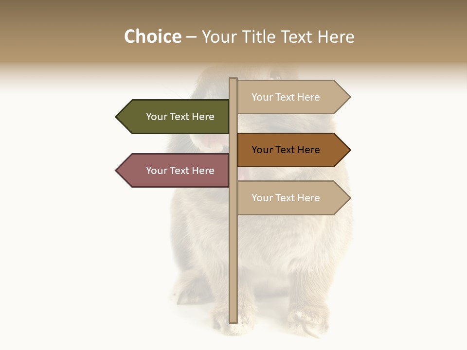 Holiday Rabbit Animal PowerPoint Template