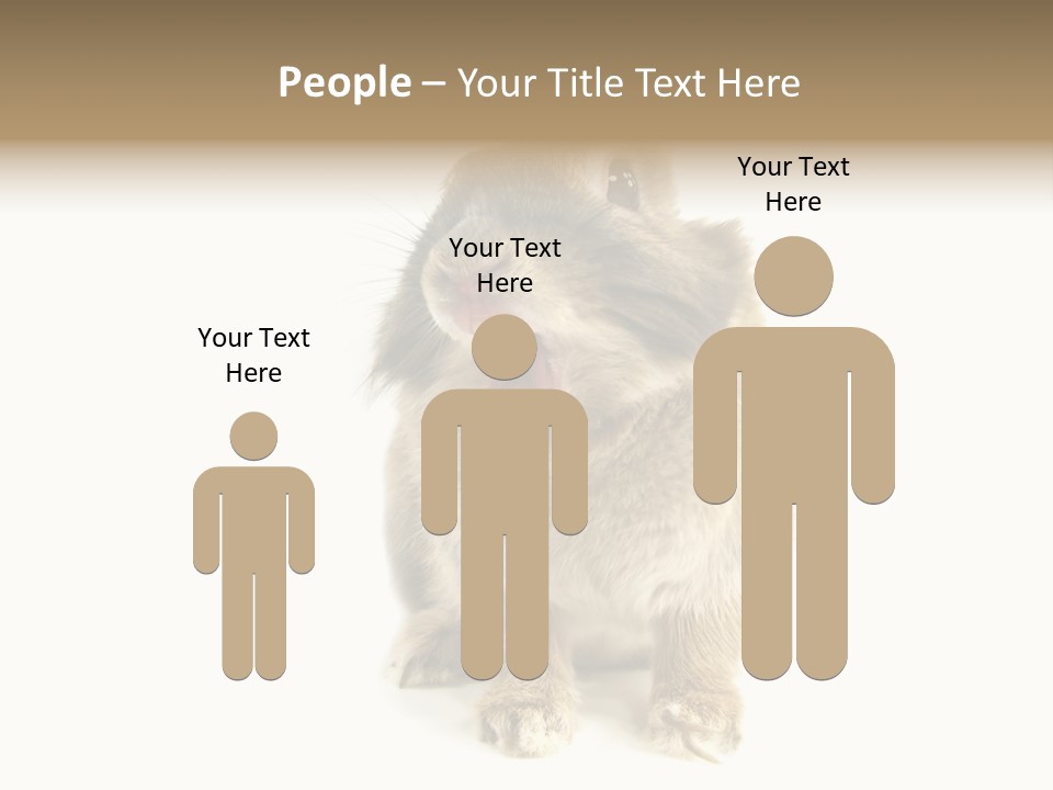 Holiday Rabbit Animal PowerPoint Template