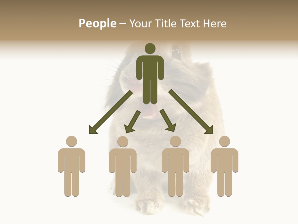 Holiday Rabbit Animal PowerPoint Template