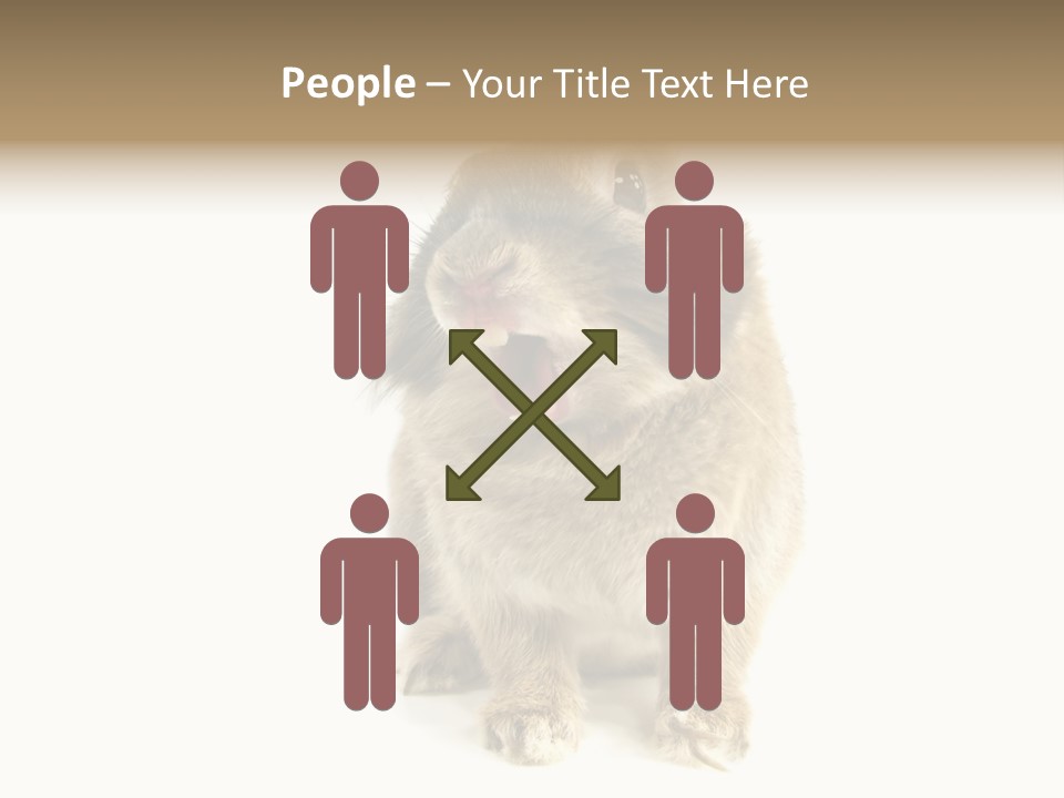 Holiday Rabbit Animal PowerPoint Template