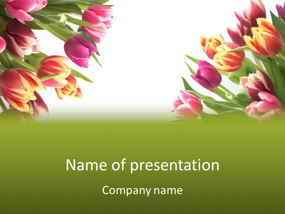 Colorful Floral Flowers PowerPoint Template