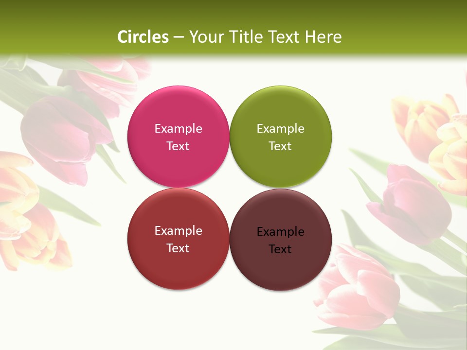 Colorful Floral Flowers PowerPoint Template